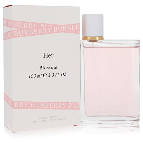 burberry her 3.3 oz|where to buy burberry her.